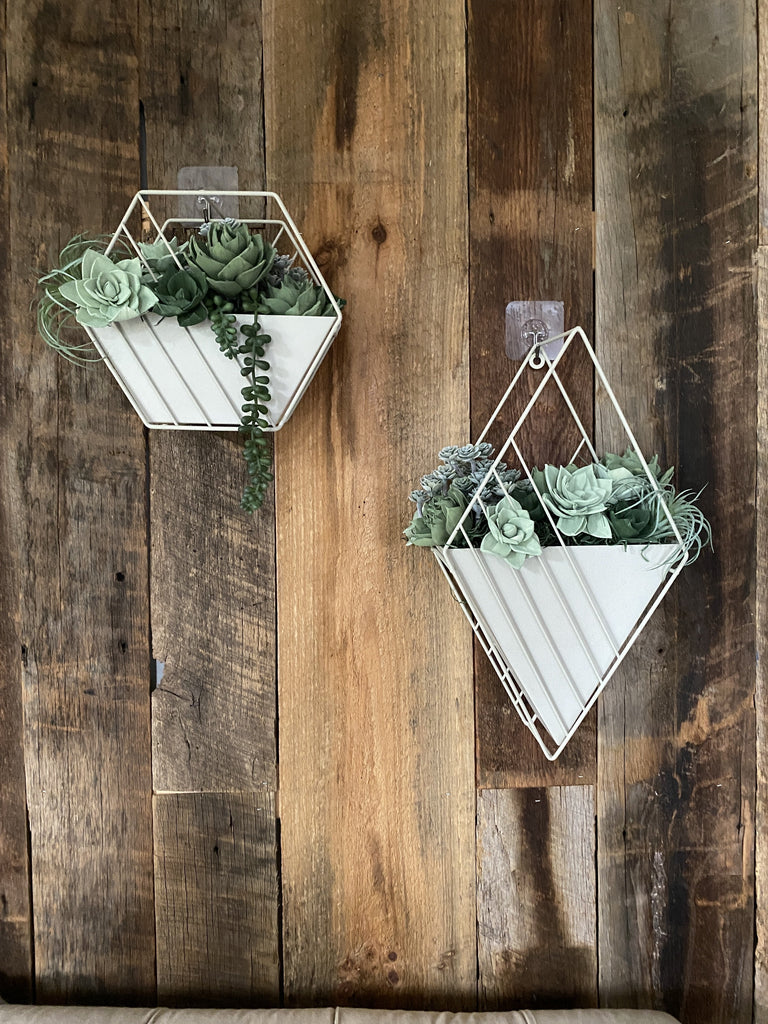 pine and petal market hanging geometric sola flower succulent gardens