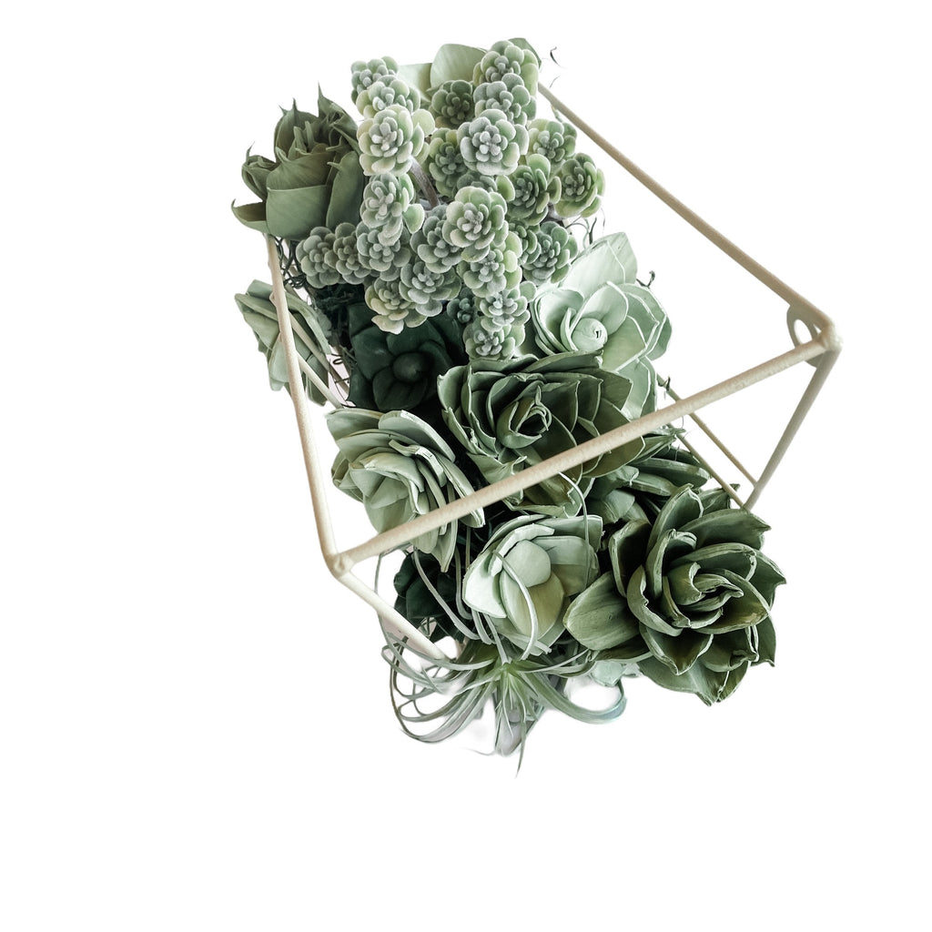 hanging sola succulent garden diamond shaped